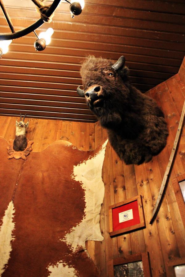 Cowboys Guest Ranch Hotel Voghera Buitenkant foto